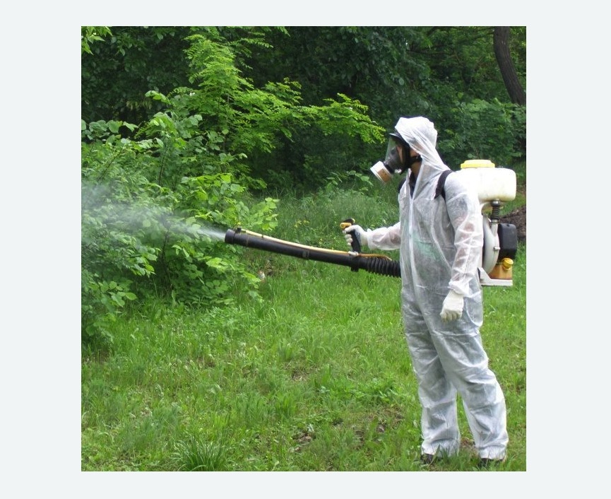 обработка территории от клещей в Кондрово