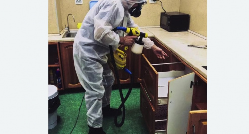 Уничтожение насекомых в квартире. Кондрово
