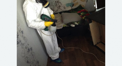 Обработка квартир от насекомых в Кондрово