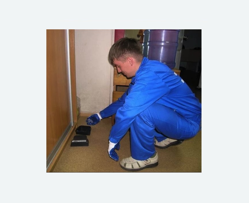 Дератизация крыс Дератизация крыс в Кондрово