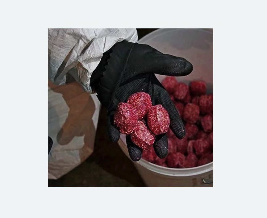 Обработка от крыс Обработка от крыс в Кондрово