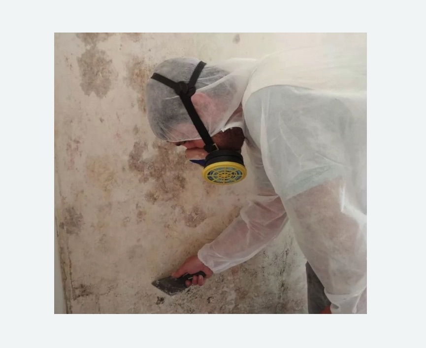 Обработка стен от плесени в Кондрово