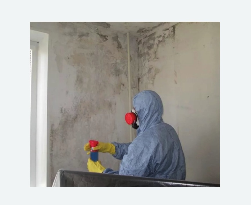 Удаление плесени в квартире в Кондрово