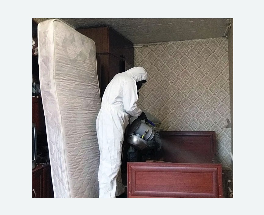 дезинфекция от клопов в Кондрово