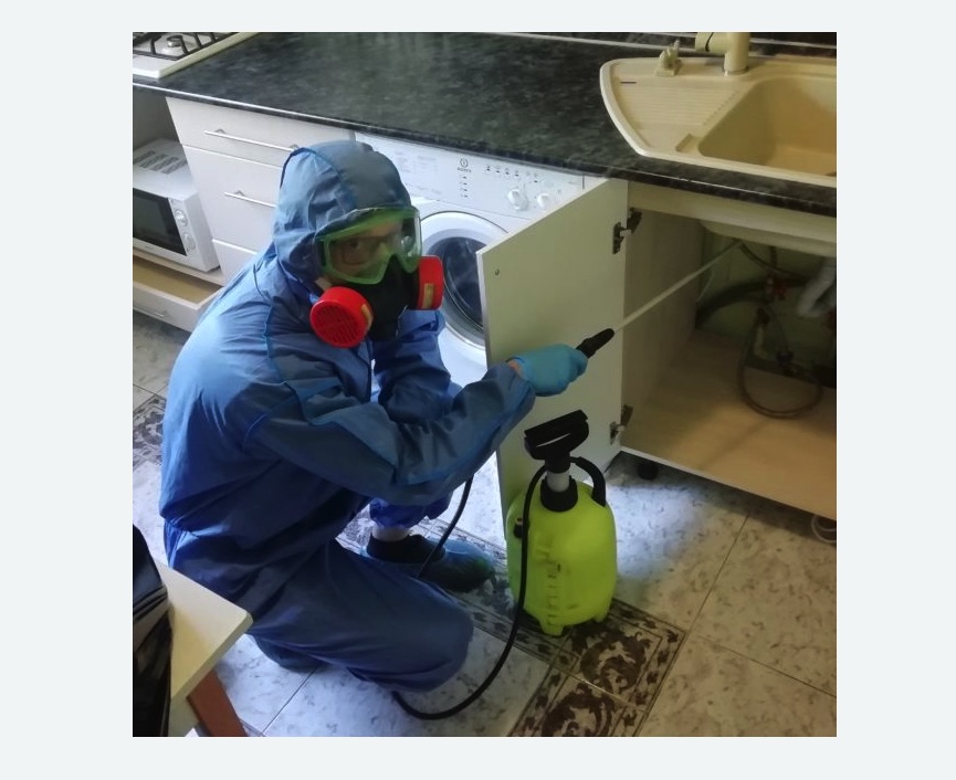 обработка от муравьев в квартире в Кондрово