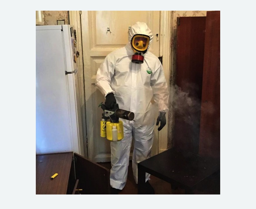 уничтожение муравьев в квартире в Кондрово